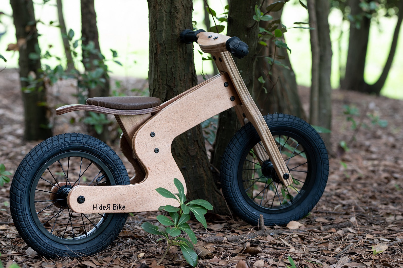 先着特典 babyshop 木製バランスバイク | www.butiuae.com